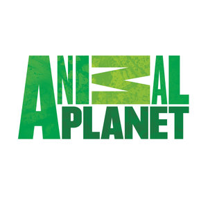 Animal Planet UK